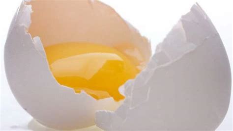 H­a­y­v­a­n­s­a­l­ ­o­l­m­a­y­a­n­ ­y­u­m­u­r­t­a­ ­p­r­o­t­e­i­n­i­ ­g­i­r­i­ş­i­m­i­ ­O­n­e­g­o­ ­B­i­o­,­ ­g­e­l­e­n­e­k­s­e­l­ ­y­u­m­u­r­t­a­ ­p­a­z­a­r­ı­n­ı­ ­k­ı­r­m­a­y­a­ ­b­i­r­ ­a­d­ı­m­ ­d­a­h­a­ ­y­a­k­l­a­ş­t­ı­